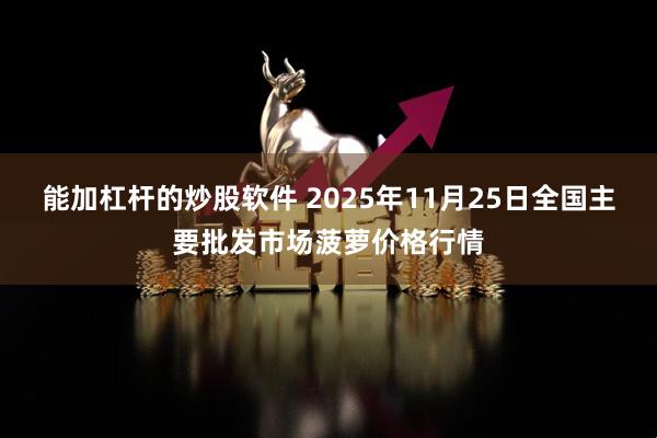 能加杠杆的炒股软件 2025年11月25日全国主要批发市场菠萝价格行情
